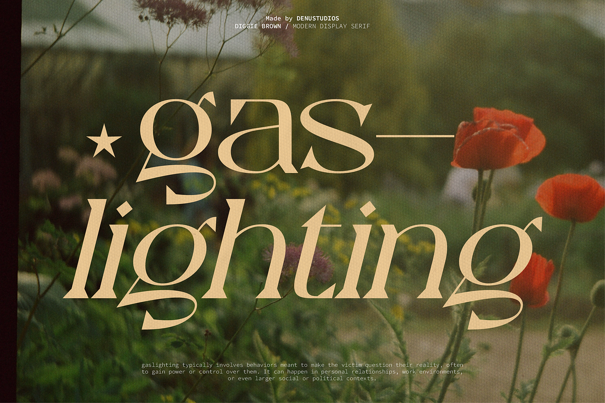 Diggie Brown | Modern Display Serif, a Serif Font by Denustudios (Photo 3 of 12)
