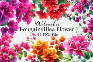 Bougainvillea Flowers Clipart Bundle, an Illustration by Dream Creation