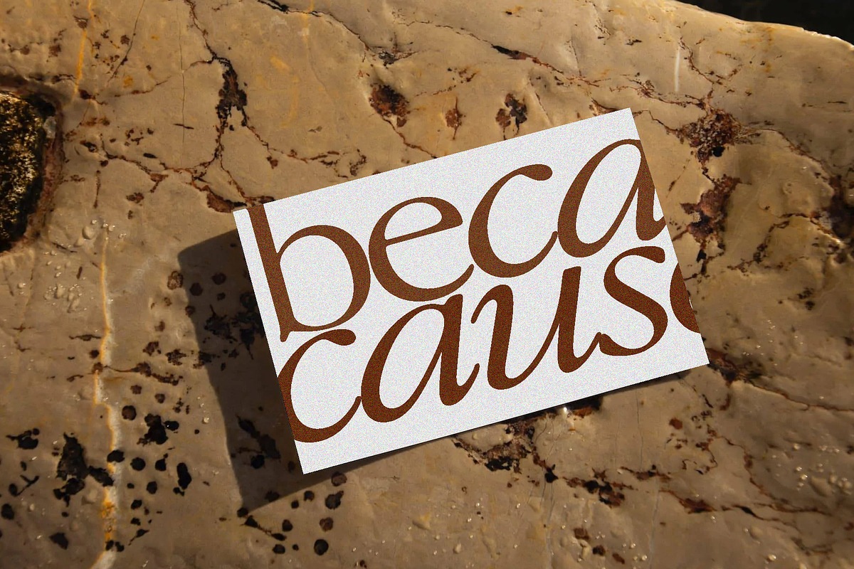 Dream Serif Display, a Serif Font by Types&Toast (Photo 6 of 10)