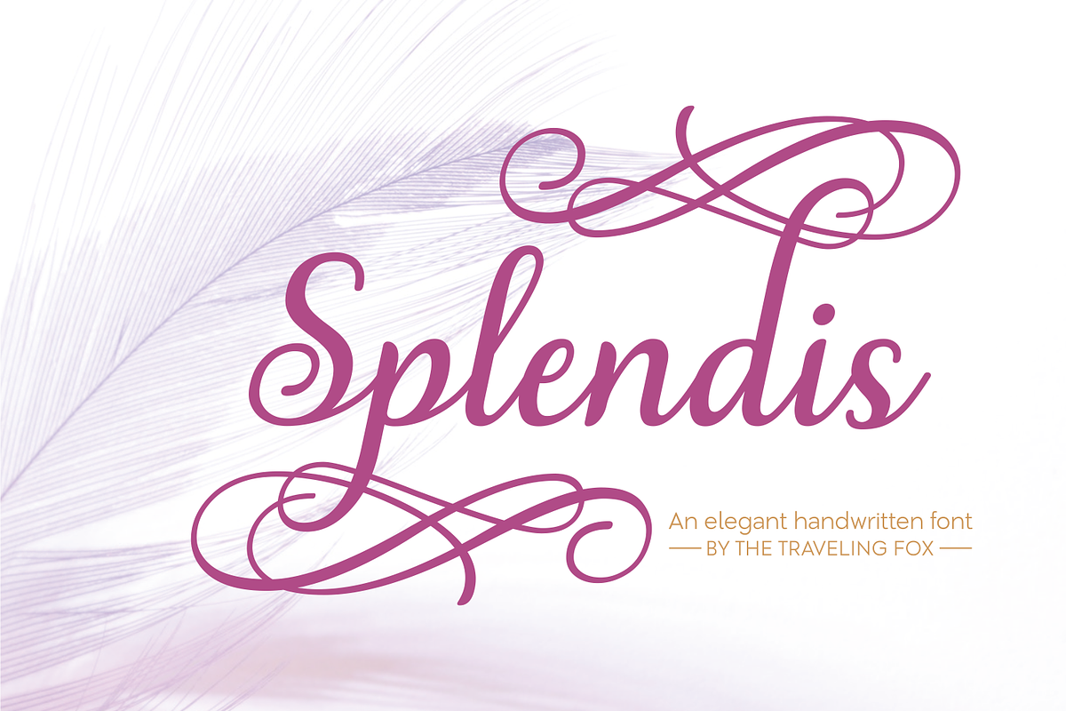 Splendis - Calligraphy Font