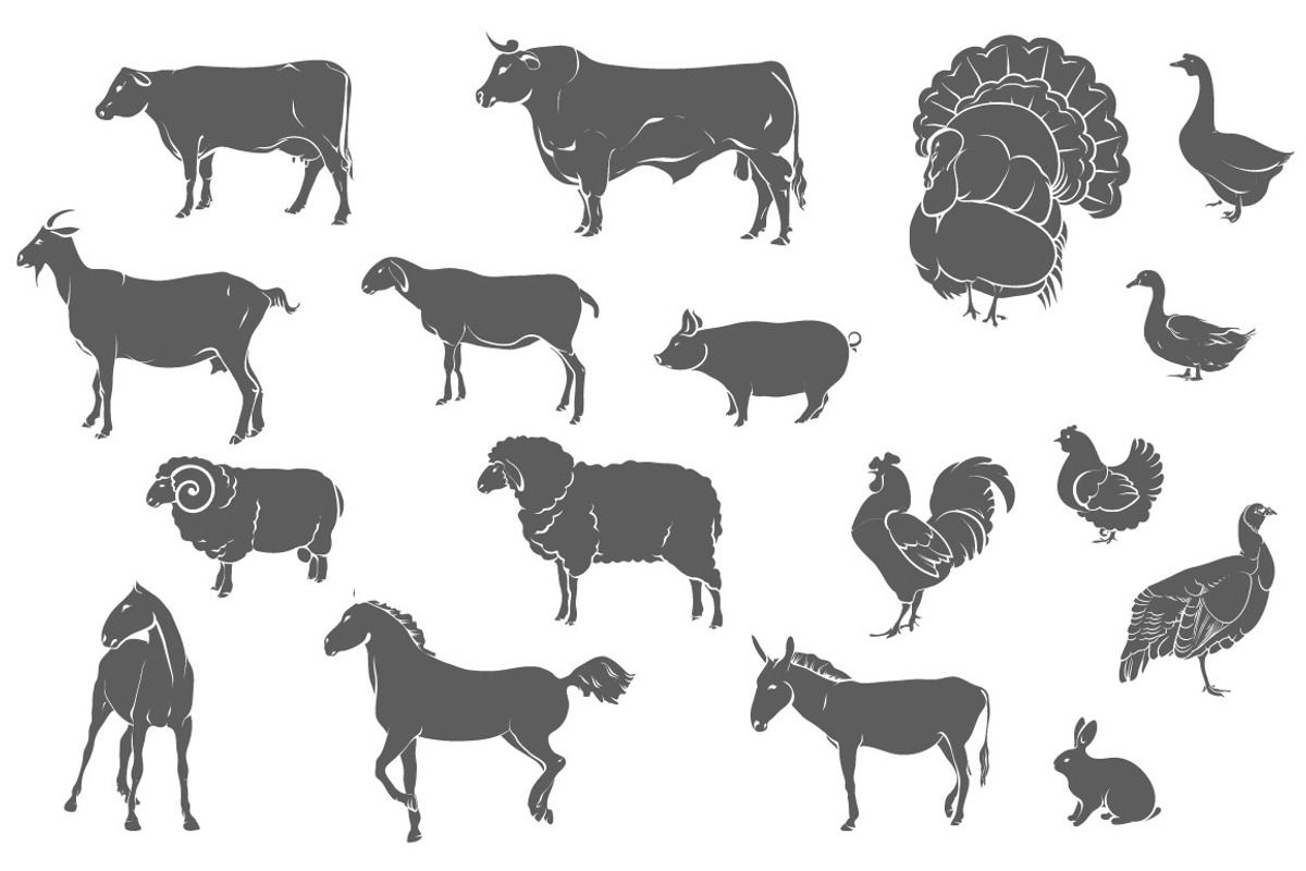 Farm animals, an Object Graphic by ArtOwl (Photo 5 of 8)