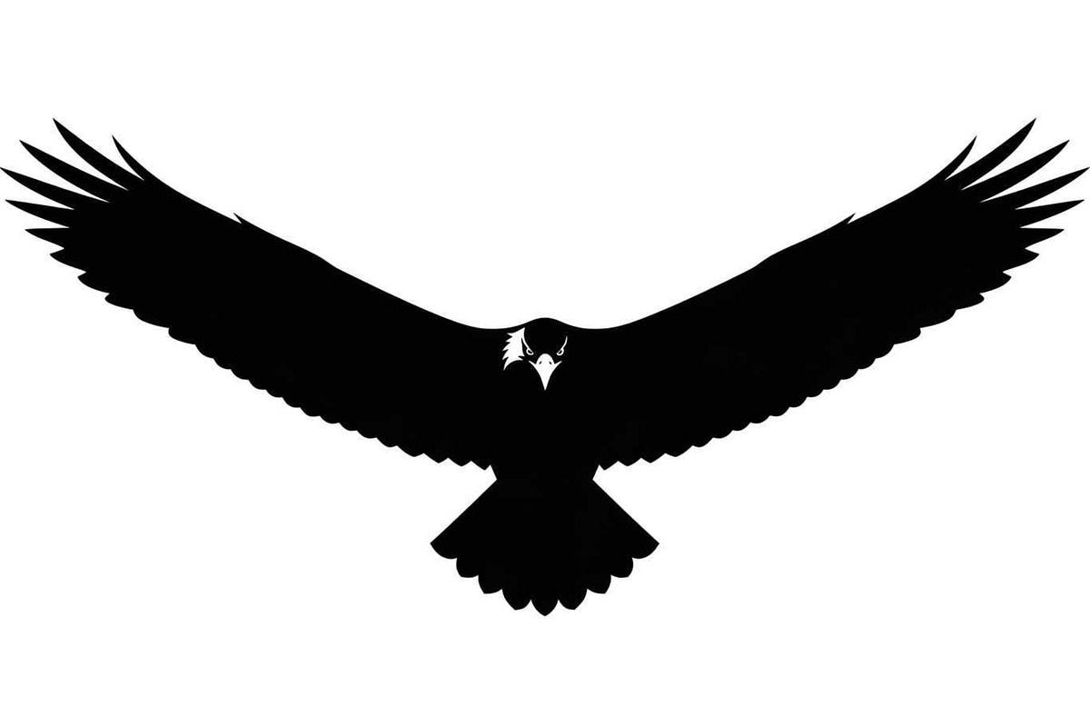 50 Flying Eagle Silhouette Vector Bu, an Illustration by Designs_River (Photo 3 of 51)