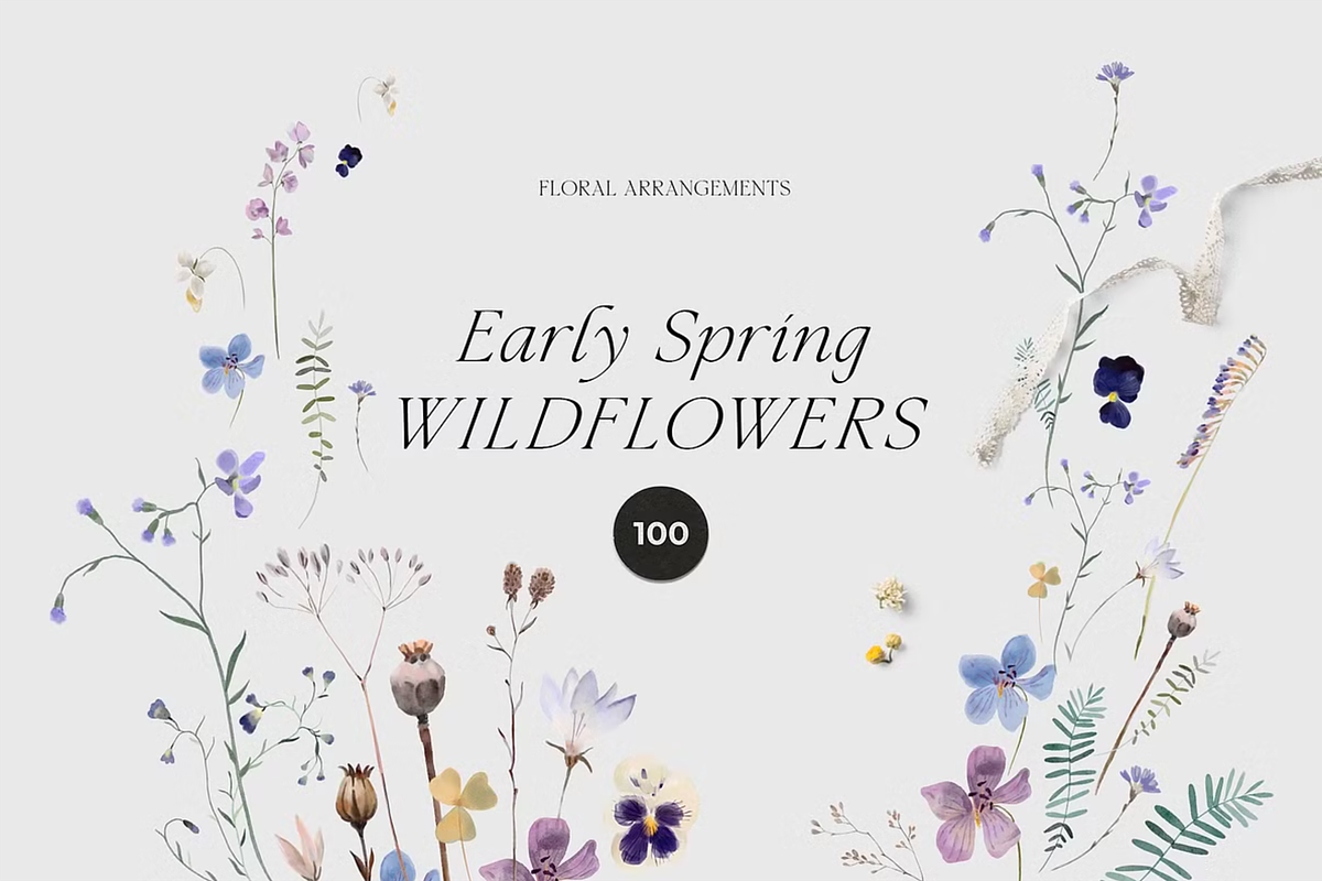 Watercolor Wildflowers Bundle, a Decorative Illustration by Lana Elanor (Photo 7 of 9)