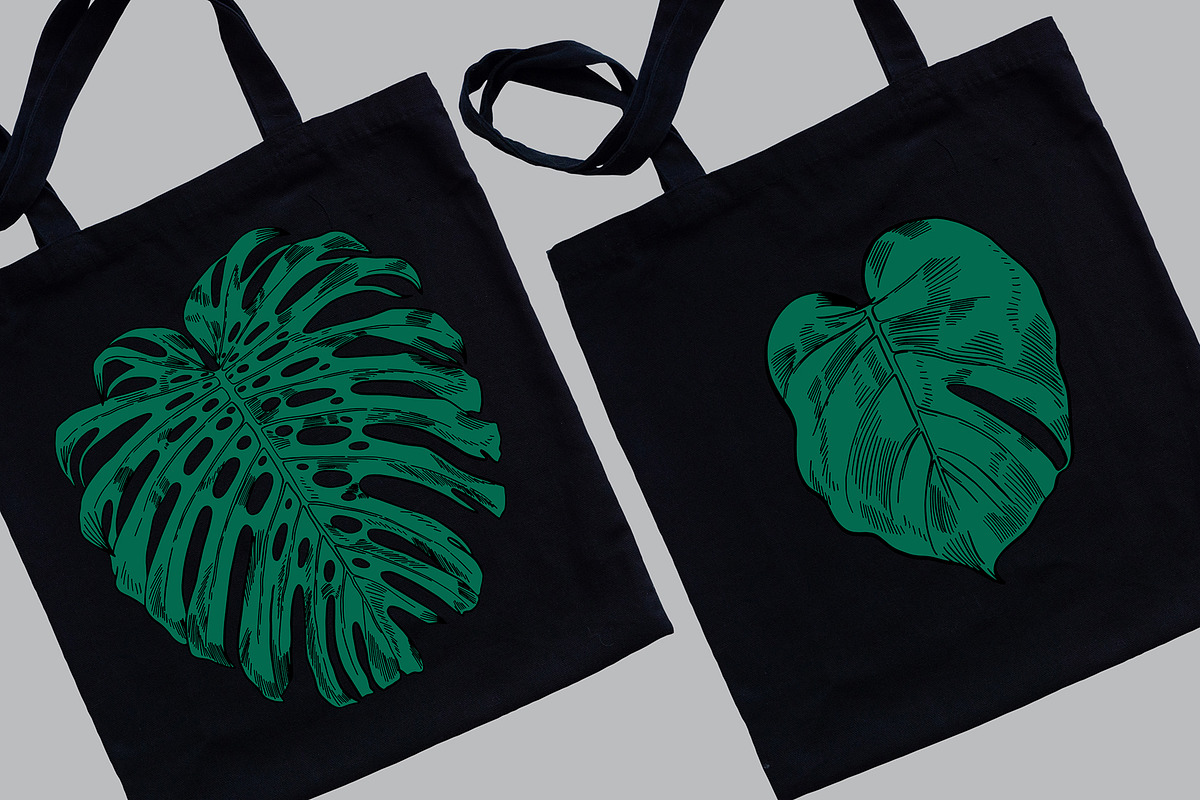 Green MONSTERA Leaves, an Illustration by Tanya Akhmett (Photo 7 of 8)