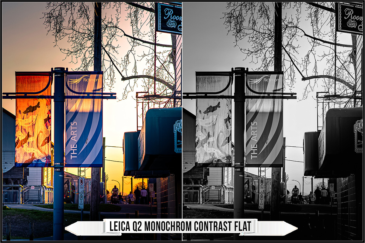 Leica Monochrom Profiles, a Plug-in Add-On by Raztrend (Photo 12 of 31)