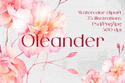 Oleander flower watercolor clipart, a Decorative Illustration by Eva Kleinman (Thumbnail 1 of 8)