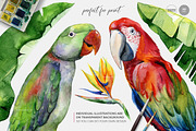 Watercolor tropics, a Pattern Graphic by Anna Myslivets Art (Thumbnail 5 of 12)