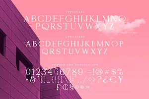 Morgan - Serif Font