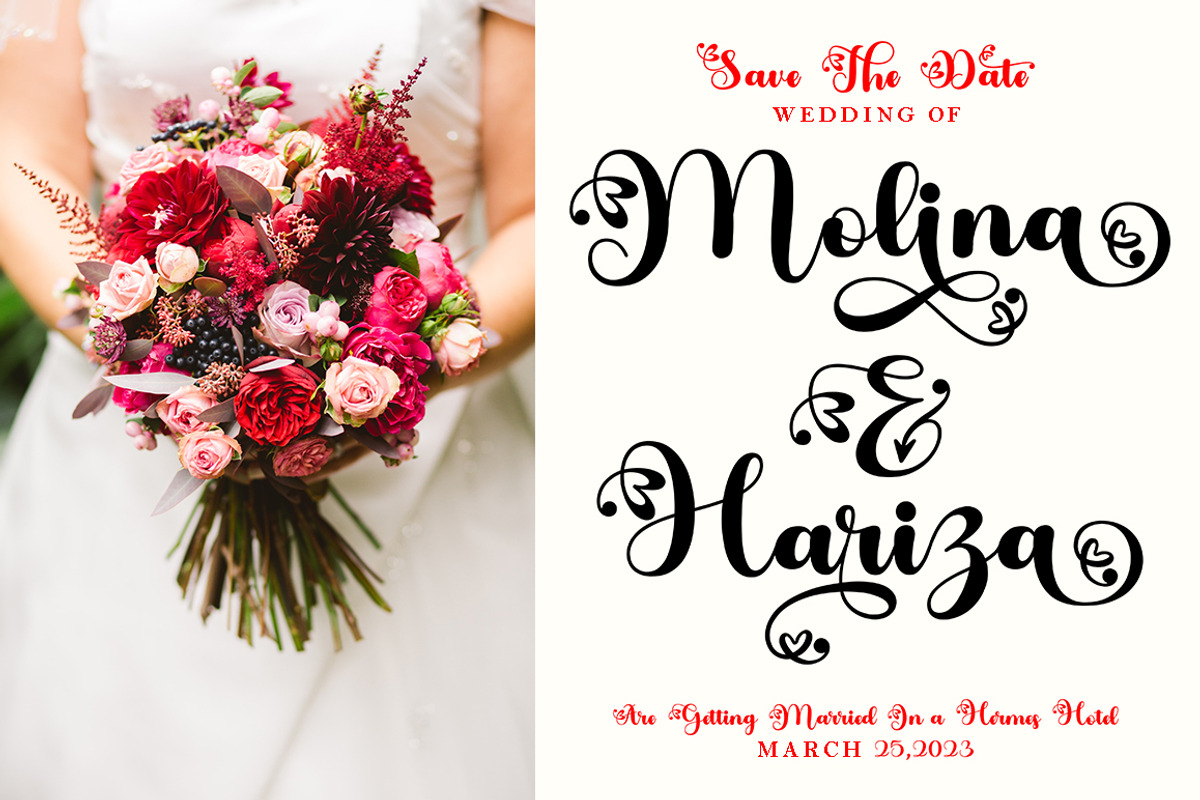 Ardilas, a Script Font by TM Type (Photo 2 of 10)