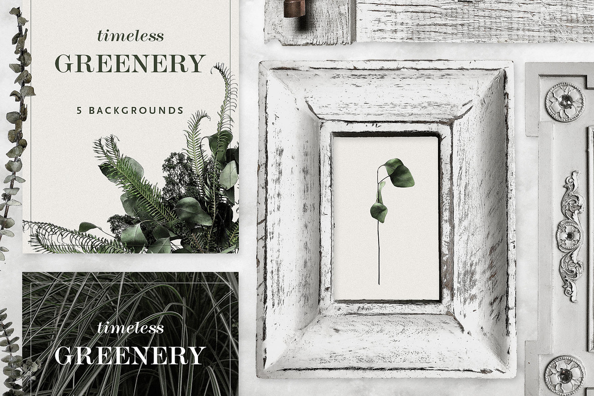 Timeless Greenery – Crafted Clip Art, a Texture Illustration by Scott Howard (Photo 4 of 7)