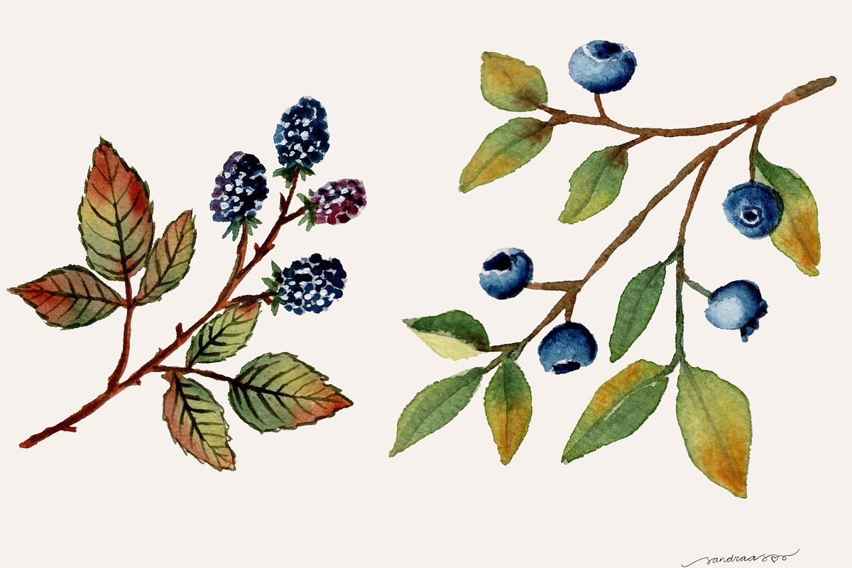 Autumn Leaves Watercolor Clipart PNG, a Seasonal Illustration by SandraGraphicDesign (Photo 4 of 5)