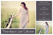 Summer Collection - PS Bundle preview 5