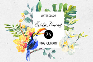 Watercolor Summer Png Toucan Clipart