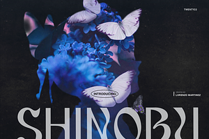 Shinobu - Elegant Psychedelic Font