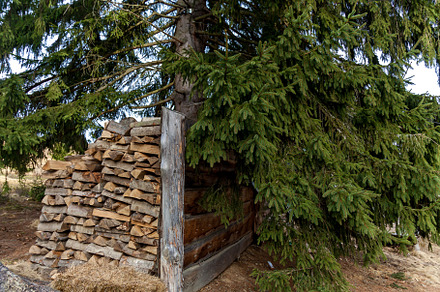 Chopped firewood stacked under a tree, a Nature Photo by Photostock
