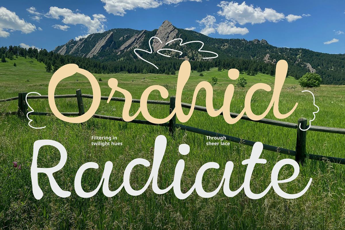 CS Adelina – Script Font, a Script Font by Craft Supply Co. (Photo 6 of 8)