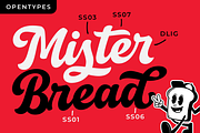 Rallies Bold Script, a Script Font by hastatypestd (Thumbnail 3 of 12)