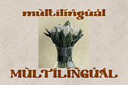 Morrello - Retro Decorative Serif, a Serif Font by PutraCetol Studio (Thumbnail 6 of 11)