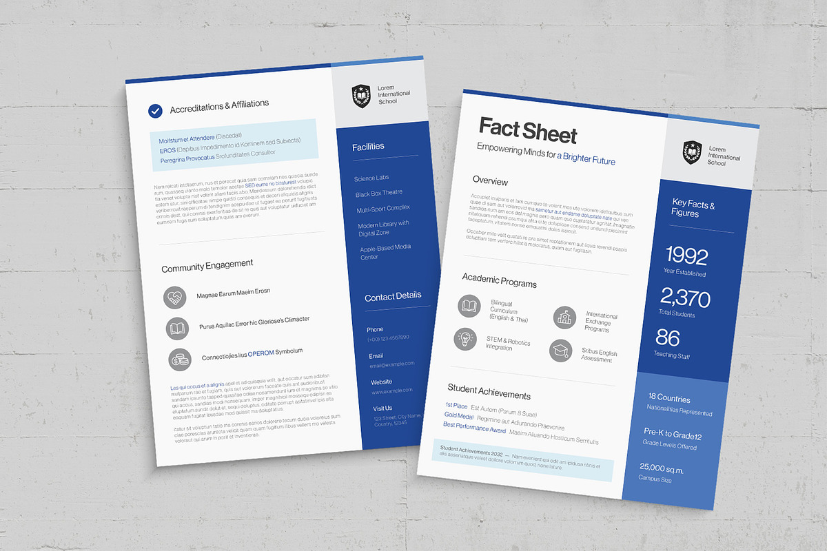 Fact Sheet Template, a Flyer Template by BrandPacks
