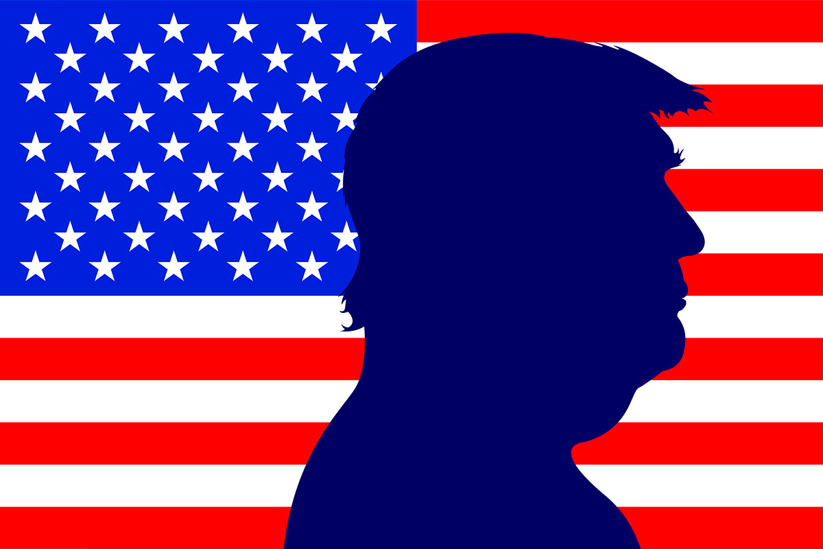 Donald Trump silhouette portrait, a Person Illustration by frizio