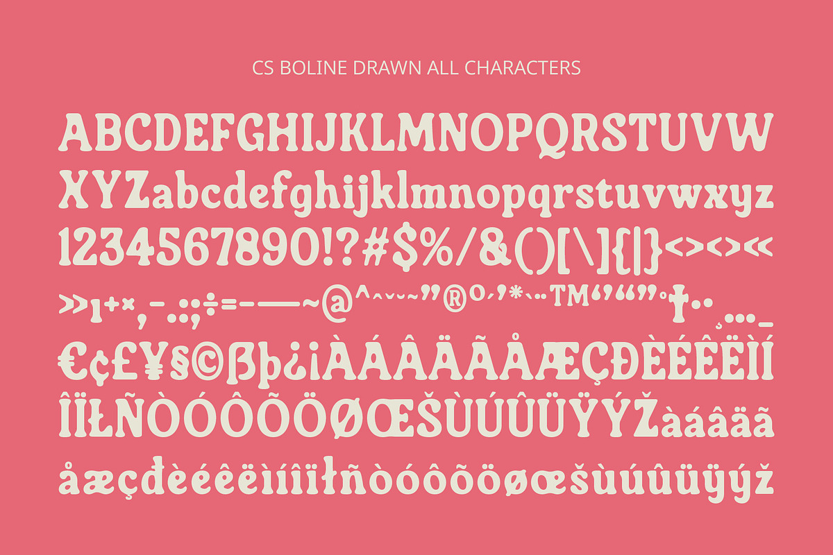 CS Boline Drawn, a Serif Font by Craft Supply Co. (Photo 8 of 8)