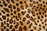 Safari Animals Skin Print Texture, a Graphic by UniqueMe (Thumbnail 8 of 21)