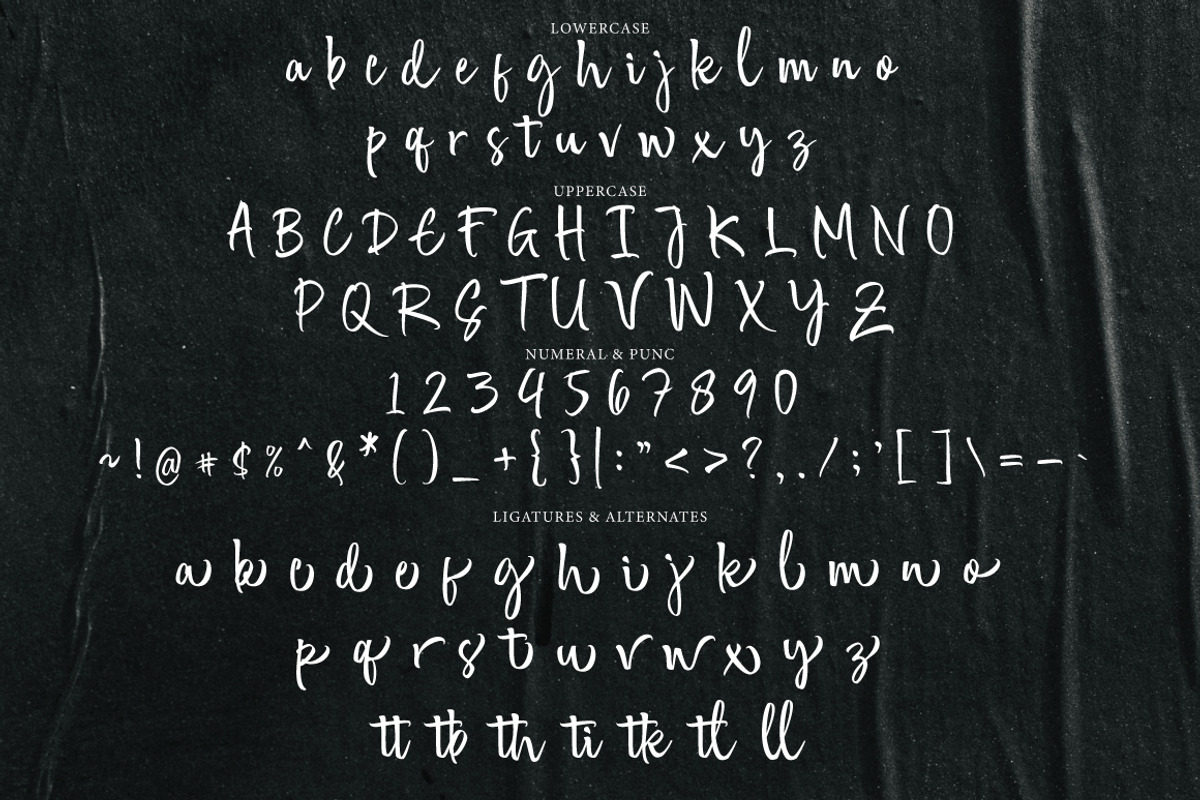 Gersival - Bold Script Logotype, a Handwritten Font by tebaltipislab (Photo 10 of 10)