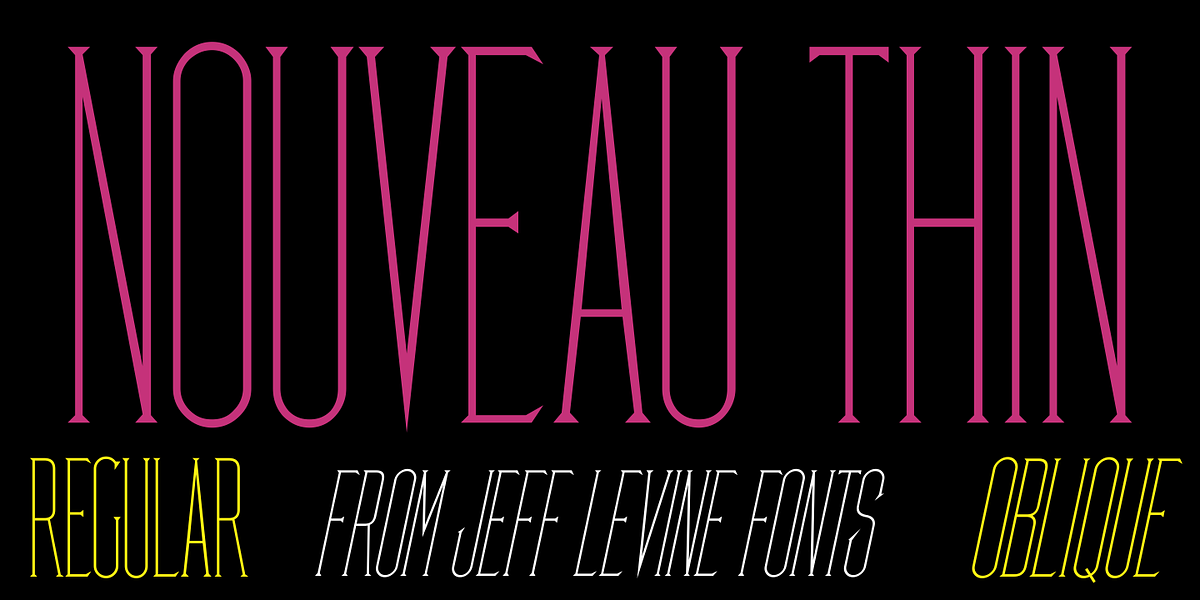 Nouveau Thin JNL, a Serif Font by Jeff Levine Fonts (Photo 1 of 5)