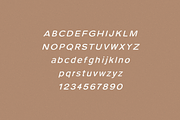 Pulse Rounded - A Modern Typeface, a Sans Serif Font by Cassandra Cappello (Thumbnail 8 of 10)