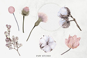 Wedding Protea Flowers Cotton Roses, an Illustration by PawGraphic (Thumbnail 3 of 10)