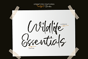 Twilight stroke | Brush Script Font, a Script Font by Jolicia Type (Thumbnail 8 of 10)