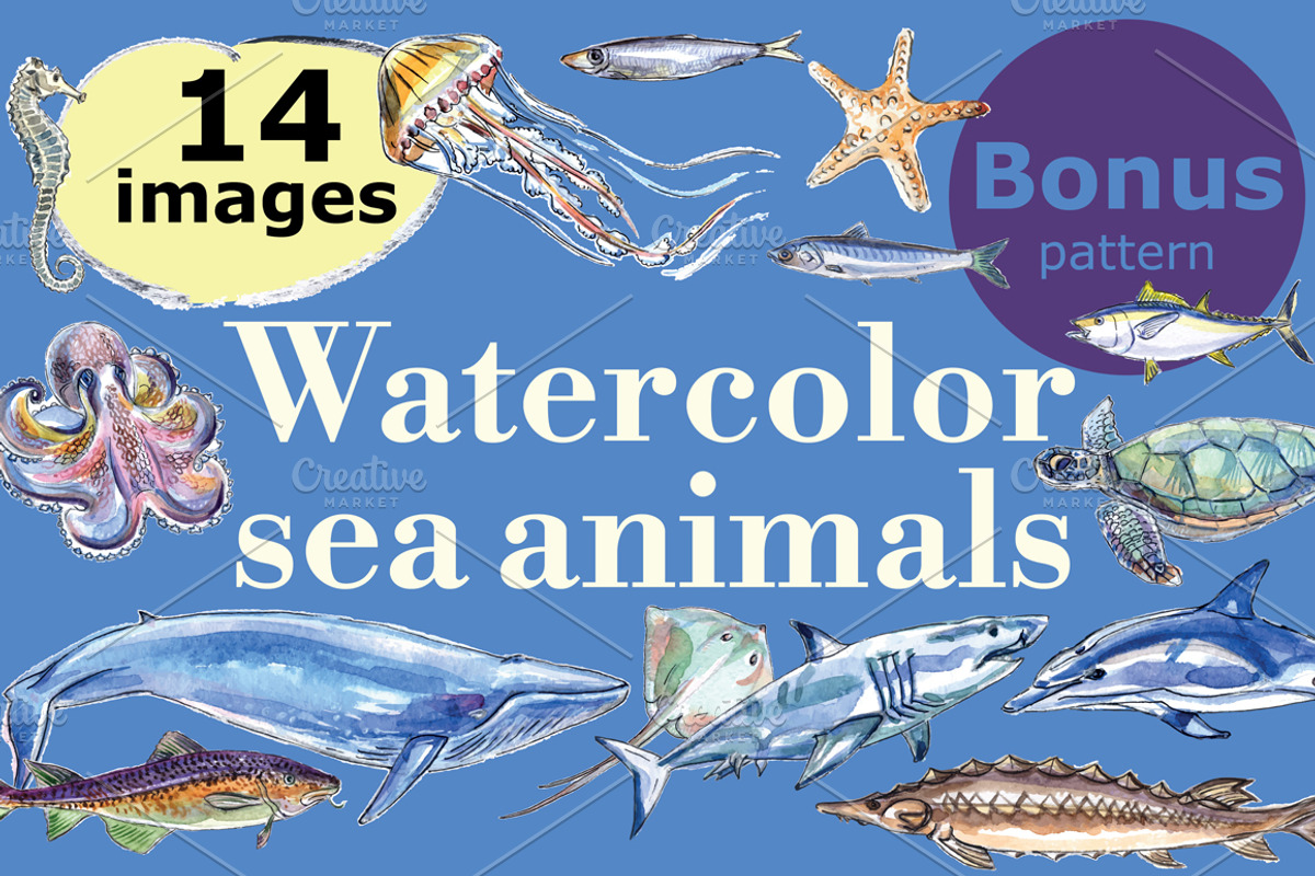 Watercolor sea animals, an Animal Illustration by miminoshka (Photo 1 of 9)