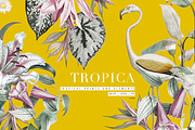 Tropica Pattern And Motifs, a Pattern Graphic by LEAFure (Thumbnail 1 of 9)
