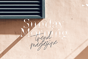 Godwit Font Family with Extras, a Serif Font by Yasir Ekinci (Thumbnail 10 of 25)