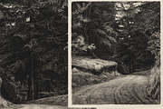 150+ Carl Bloch Bundle, a Person Illustration by Digital Museum (Thumbnail 13 of 15)