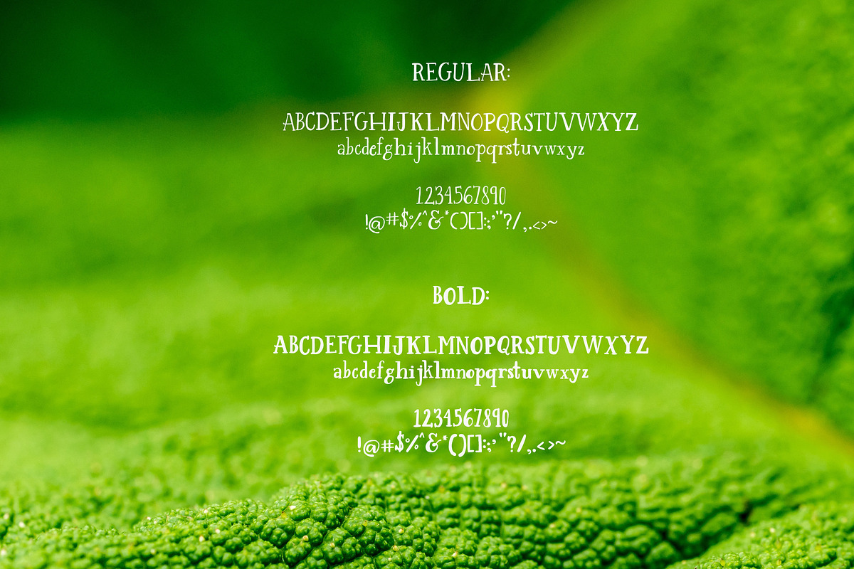 Sweet Basil preview 8