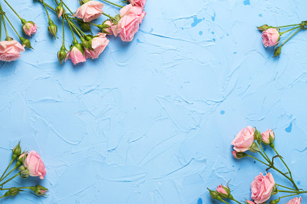 Frame from pink roses flowers, an Arts & Entertainment Photo by daffodilred