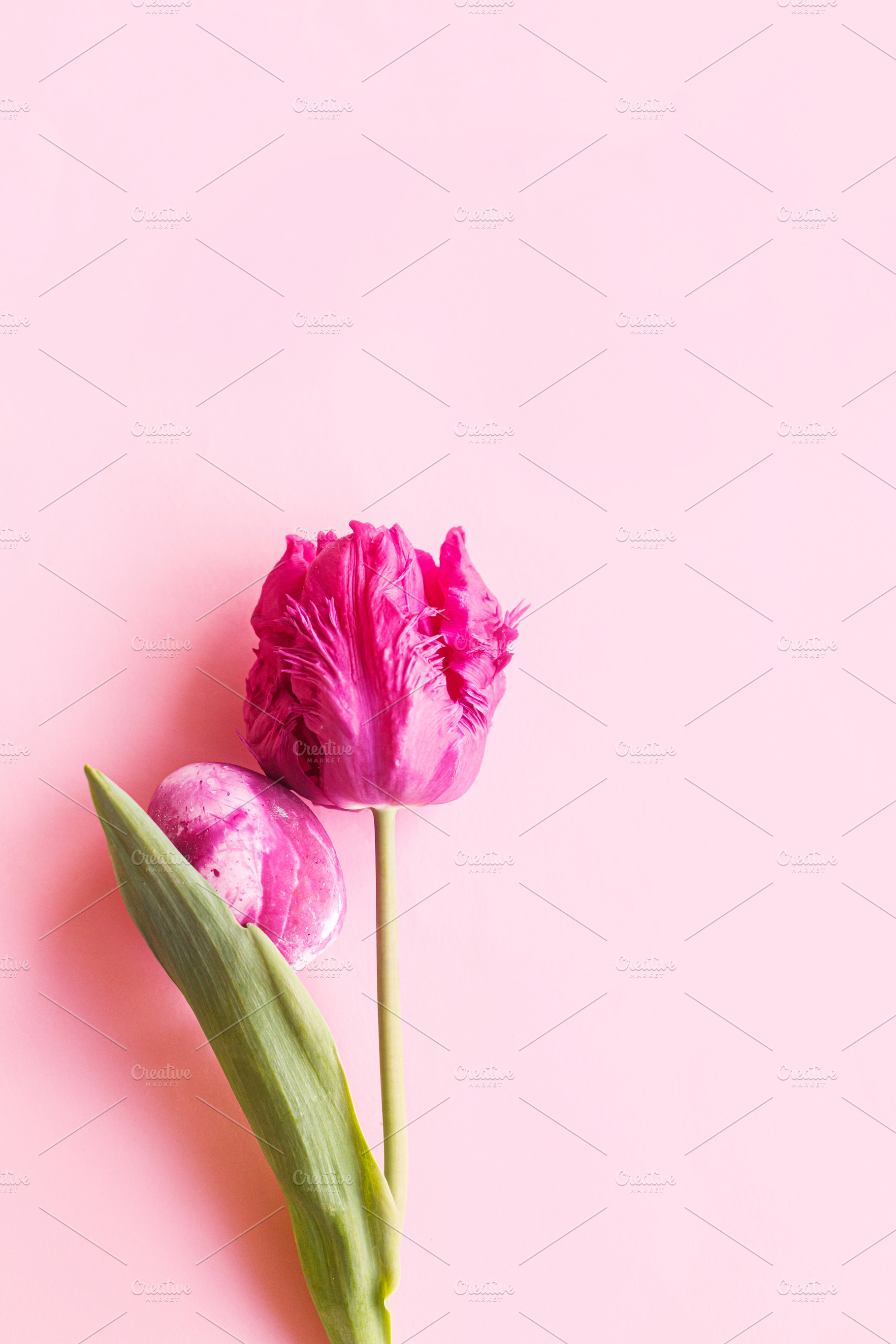 Easter flat lay. Stylish easter egg and pink tulip flat lay on p, a Holiday Photo by Sonjachni