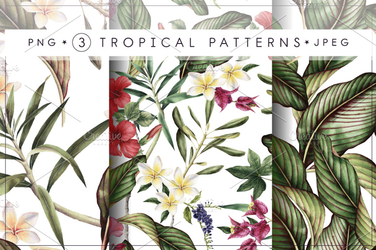 3 Tropical patterns & Floral set, a Pattern Graphic by ollalya (Photo 1 of 5)