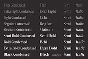 GrethaSerif, a Serif Font by Propertype (Thumbnail 12 of 14)