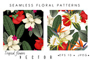 Tropical flowers. VECTOR, a Pattern Graphic by ollalya (Thumbnail 3 of 8)