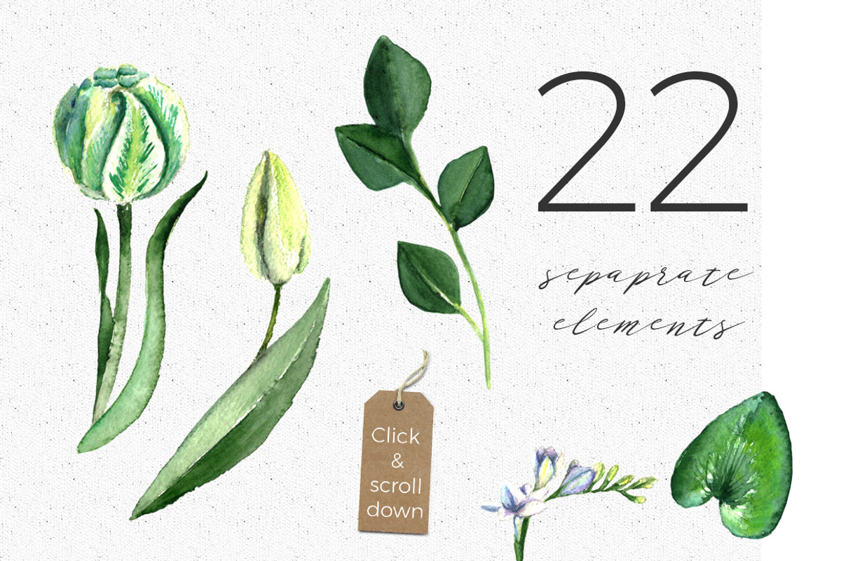 Wedding Watercolor Tulips Set, an Illustration by WBS Design (Photo 7 of 9)