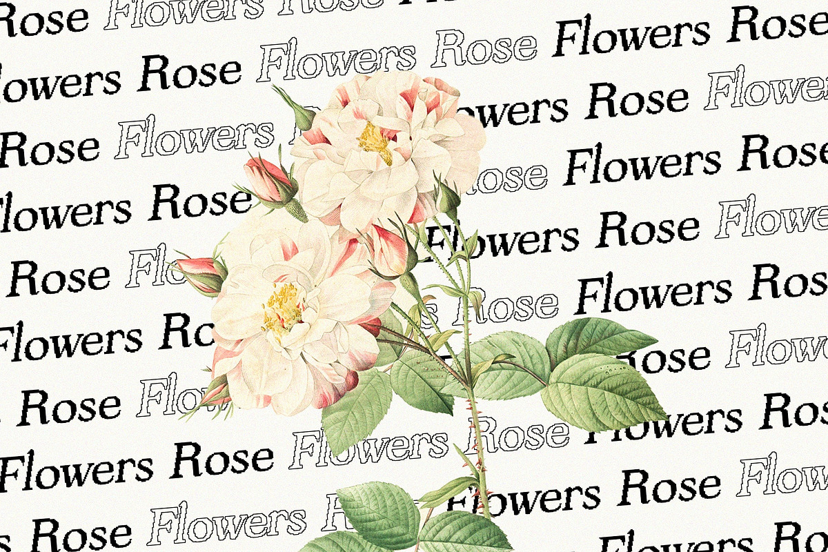 Ascella Pixel, a Serif Font by Craft Supply Co. (Photo 7 of 8)