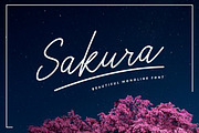 Sakura Font Set, a Script Font by ShowUp! Studio (Thumbnail 1 of 8)