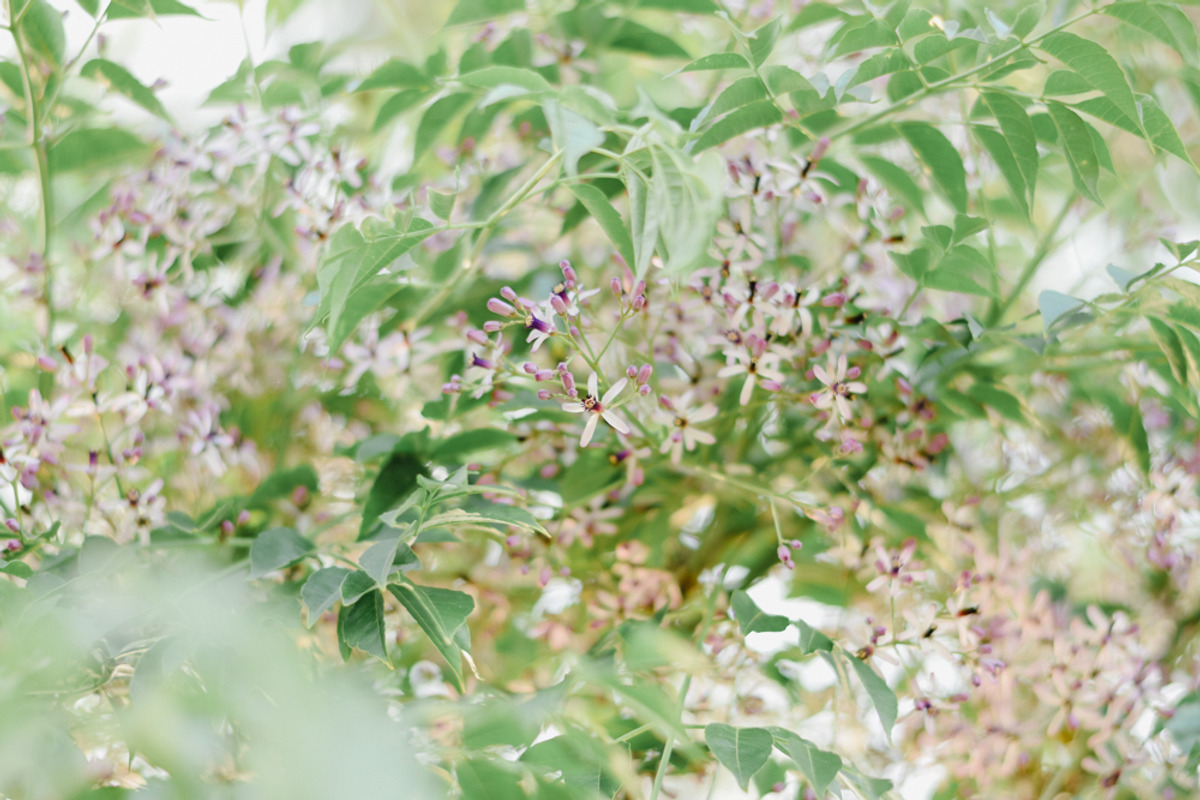 Pro Lightroom Presets Pack, an Action Add-On by Bamboobear Books Shop (Photo 7 of 7)