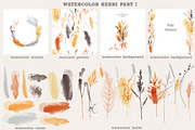 Watercolor herbs collection, a Decorative Illustration by Tatiana Davidova (Thumbnail 8 of 8)
