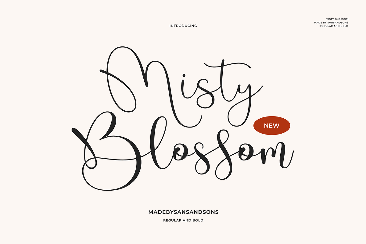 Modern Font Collection, a Serif Font by Sans & Sons (Photo 17 of 21)