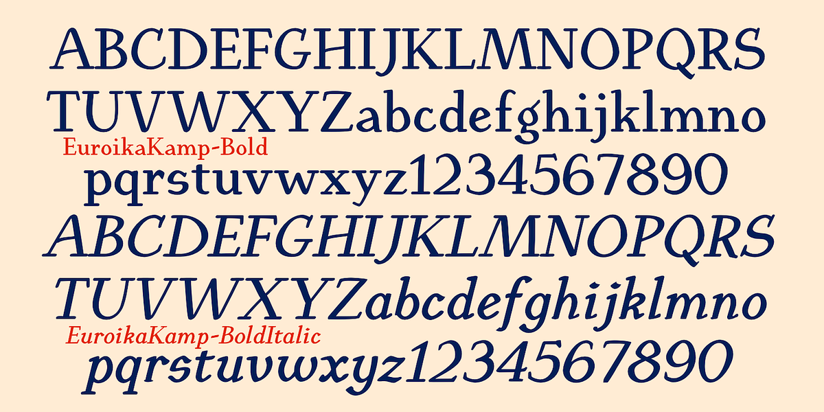 EuroikaKamp, a Serif Font by Ingrimayne Type (Photo 10 of 11)