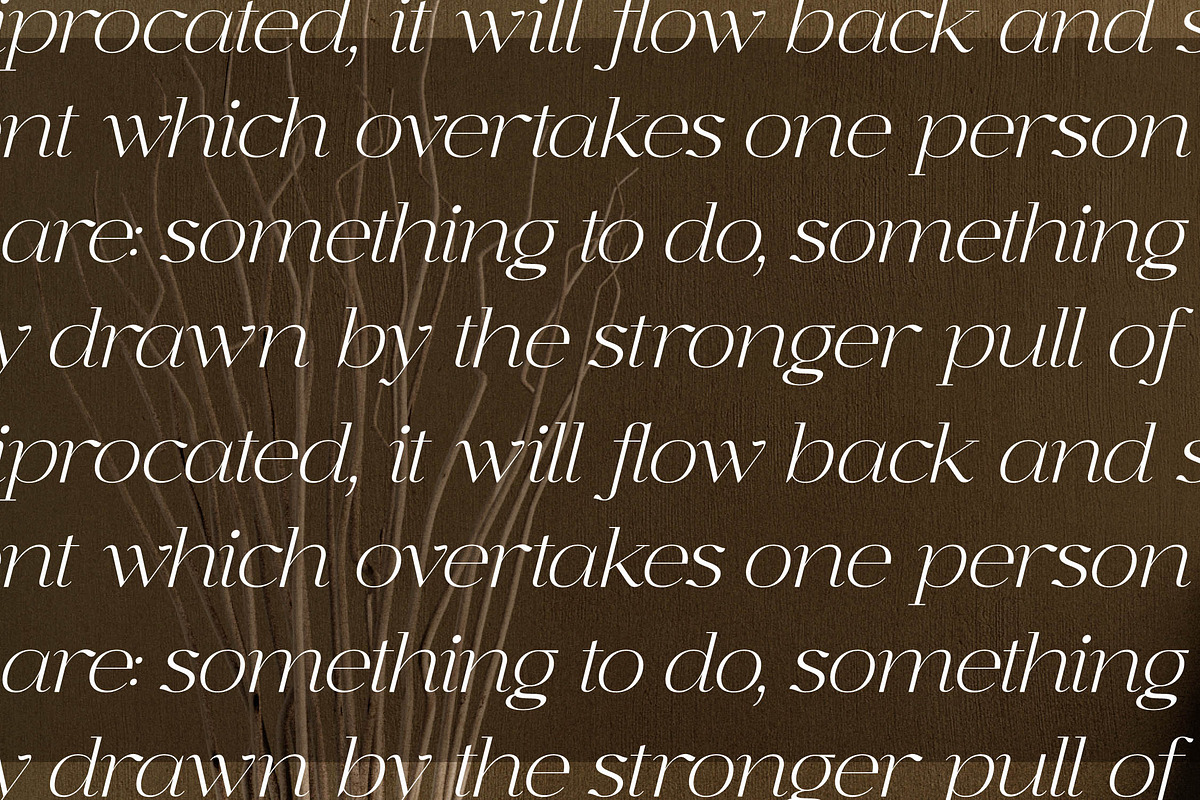 Graflows Modern Font Serif, a Serif Font by Letterena Studios (Photo 6 of 15)