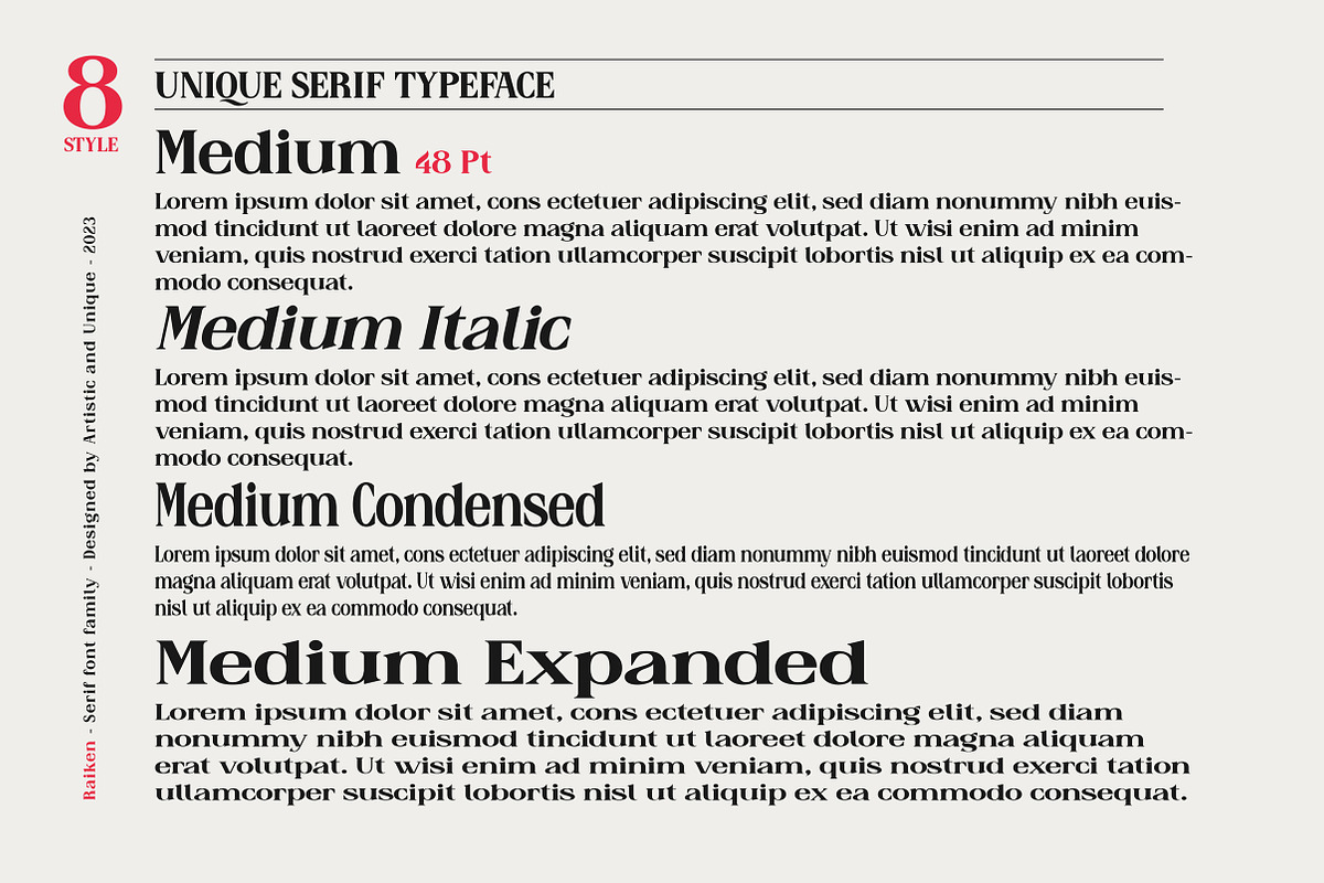 Raiken - Serif font family, a Serif Font by Artistic & Unique (Photo 8 of 14)